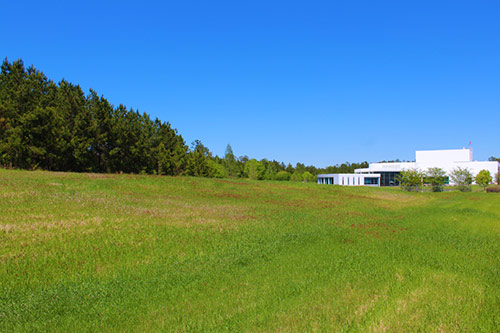 Fields of red clover planted at McIntosh Alabama site 2