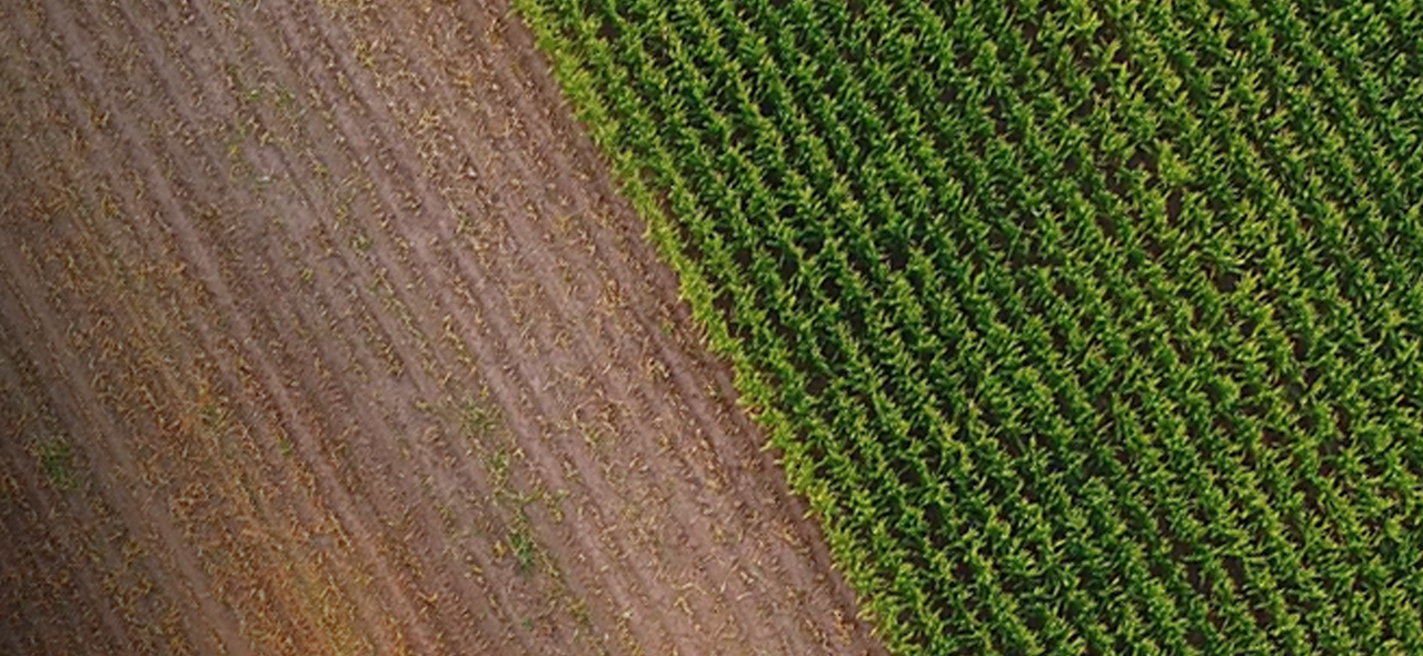 Protecting planet and people through ingredient innovation