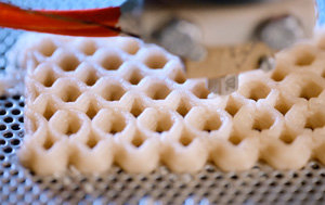 3D printer printing food