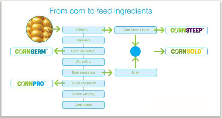 Corn to feed process graph Corn to feed process graph