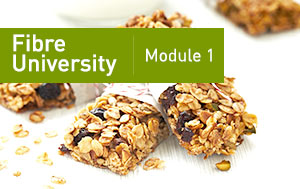 Fibre university module one