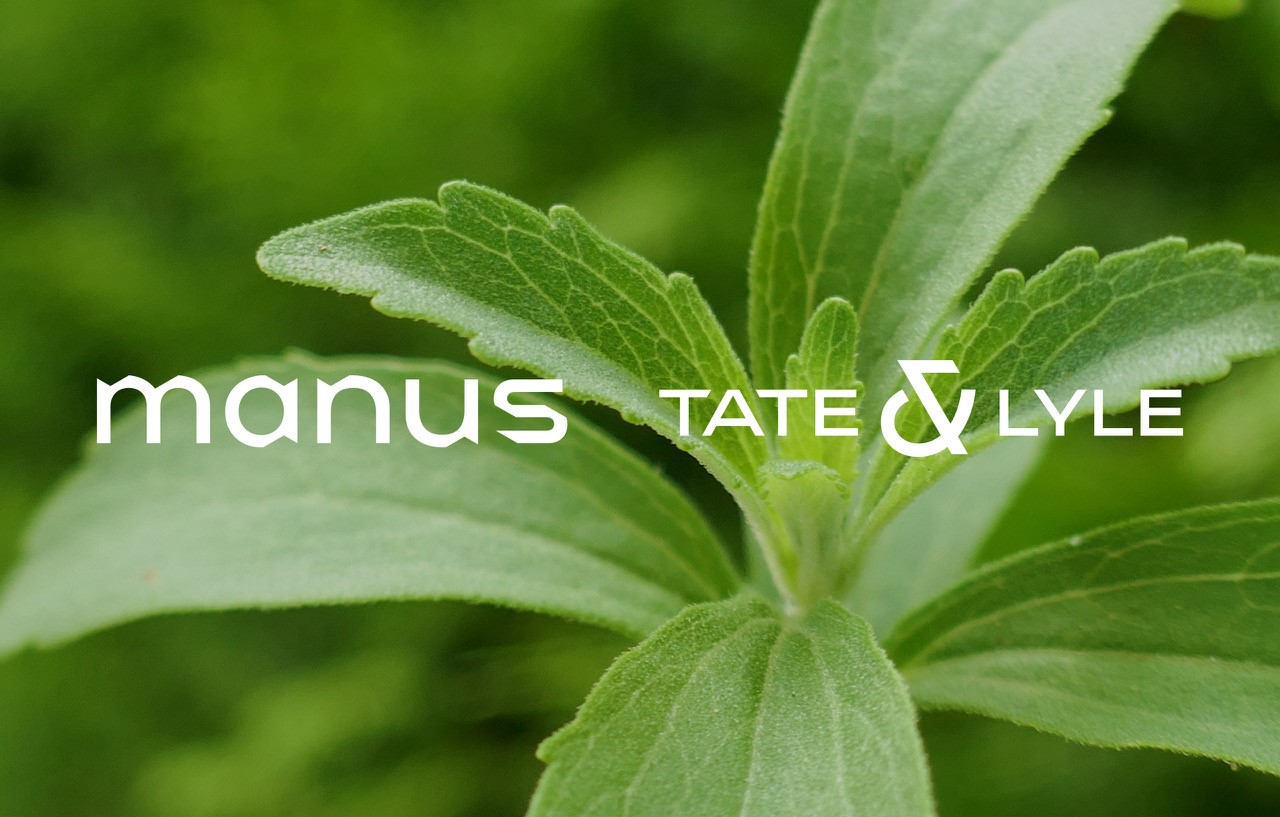 Tate & Lyle y Manus Stevia Tate & Lyle and Manus Stevia Leaf Image