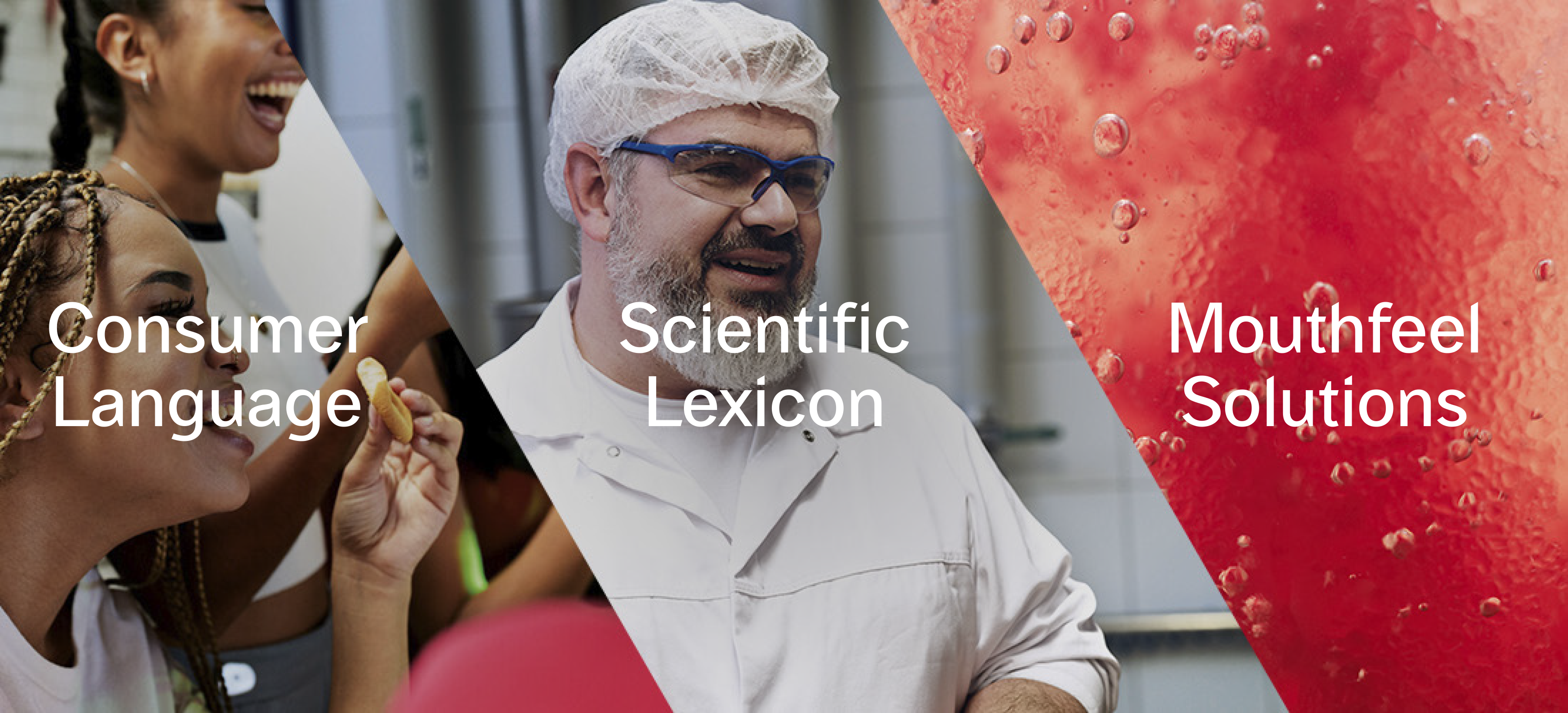 Sensation Page Image 5