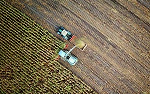 Aerial shot of corn field being harvested