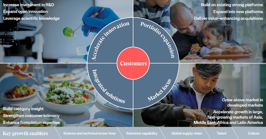 Growth framework wheel - accelerate innovation, portfolio expansion, market focus, integrated solutions - with customers at the centre