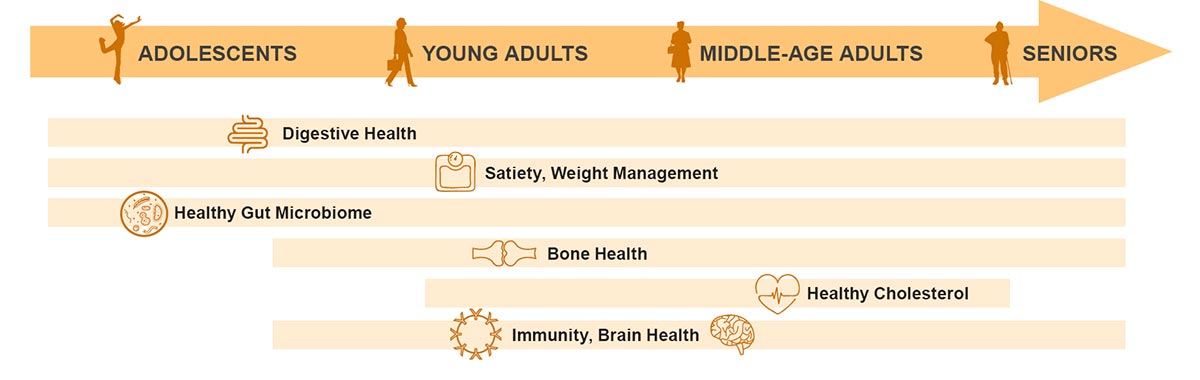 Health needs throughout the stages of life Health needs throughout the stages of life
