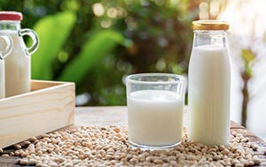 Fibre fortified nutritious milk