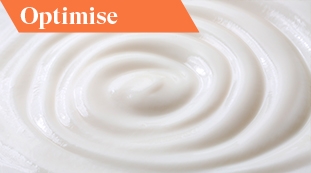2024.05 Case Study_Mayonaise_Emulsified sauces