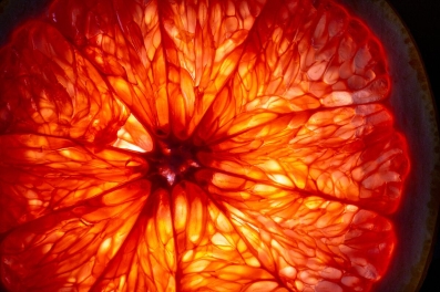 Hydrocolloid Sustainability