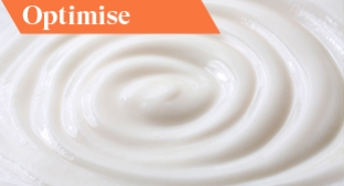 2024.05 Case Study_Mayonaise_Emulsified sauces