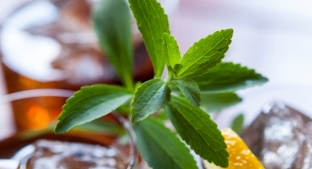 Stevia image