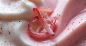 Tate & Lyle's Positive Nutrition Solutions - Mouthfeel