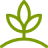 Plant-based trends Plant-based icon