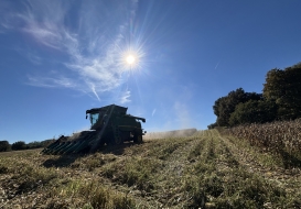 Harvesting Corn - Credit: The Maisadour Group