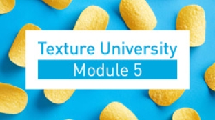 Texture University module 5 Texture University module 5_banner