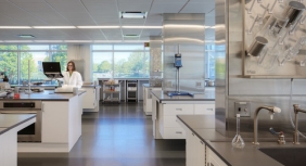 lab lab