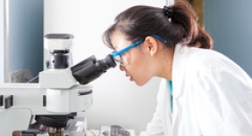 lab lab